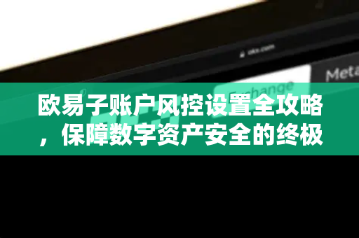 欧易子账户风控设置全攻略,保障数字资产安全的终极指南 欧易子账户风控设置全攻略,保障数字资产安全的终极指南