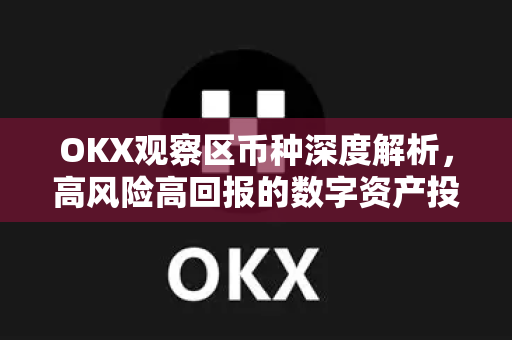 OKX观察区币种深度解析，高风险高回报的数字资产投资指南