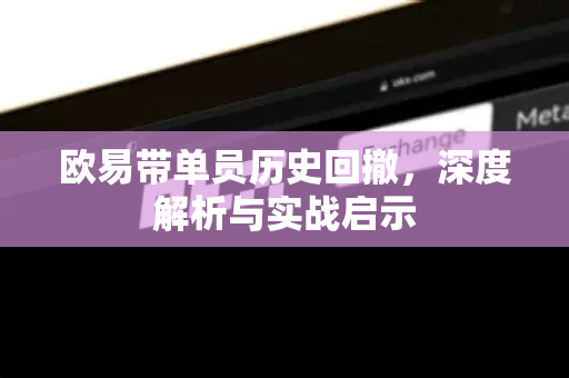 欧易带单员历史回撤，深度解析与实战启示