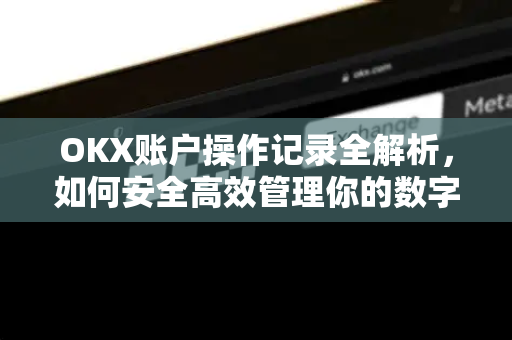 OKX账户操作记录全解析，如何安全高效管理你的数字资产