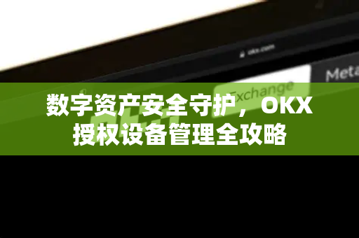 数字资产安全守护，OKX授权设备管理全攻略