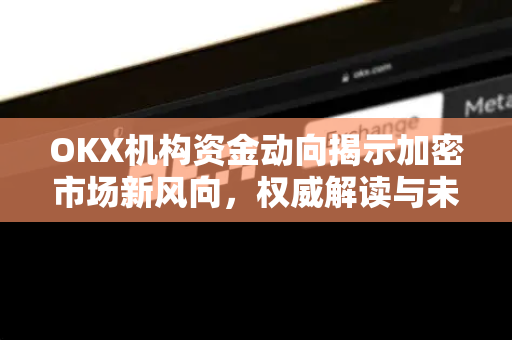 OKX机构资金动向揭示加密市场新风向,权威解读与未来布局 OKX机构资金动向揭示加密市场新风向,权威解读与未来布局