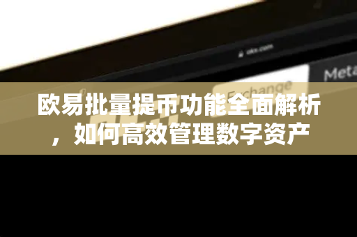 欧易批量提币功能全面解析,如何高效管理数字资产 欧易批量提币功能全面解析,如何高效管理数字资产