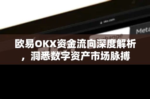 欧易OKX资金流向深度解析,洞悉数字资产市场脉搏 欧易OKX资金流向深度解析,洞悉数字资产市场脉搏