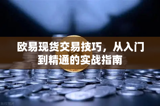 欧易现货交易技巧,从入门到精通的实战指南 欧易现货交易技巧,从入门到精通的实战指南