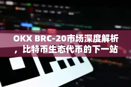 OKX BRC-20市场深度解析,比特币生态代币的下一站机遇 OKX BRC-20市场深度解析,比特币生态代币的下一站机遇