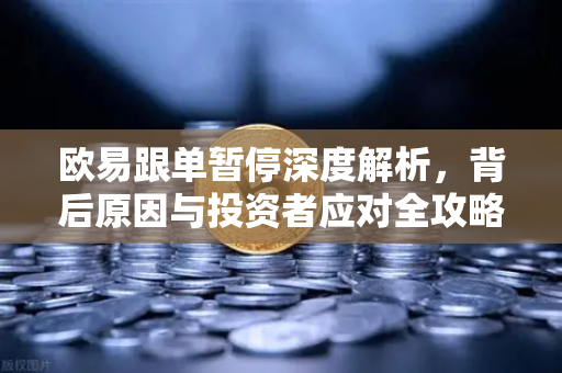 欧易跟单暂停深度解析，背后原因与投资者应对全攻略