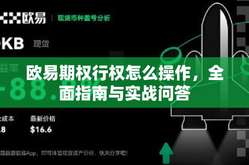 欧易期权行权怎么操作,全面指南与实战问答 欧易期权行权怎么操作,全面指南与实战问答