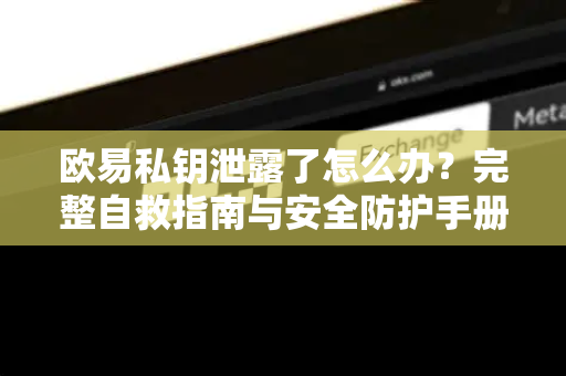 欧易私钥泄露了怎么办?完整自救指南与安全防护手册 欧易私钥泄露了怎么办?完整自救指南与安全防护手册