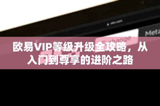 欧易VIP等级升级全攻略,从入门到尊享的进阶之路 欧易VIP等级升级全攻略,从入门到尊享的进阶之路