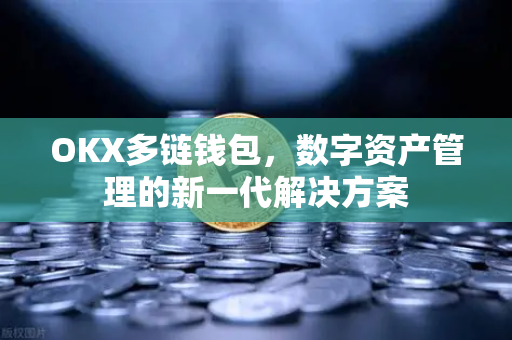 OKX多链钱包,数字资产管理的新一代解决方案 OKX多链钱包,数字资产管理的新一代解决方案