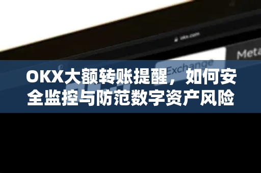OKX大额转账提醒,如何安全监控与防范数字资产风险 OKX大额转账提醒,如何安全监控与防范数字资产风险