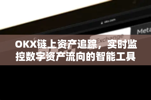 OKX链上资产追踪,实时监控数字资产流向的智能工具 OKX链上资产追踪,实时监控数字资产流向的智能工具