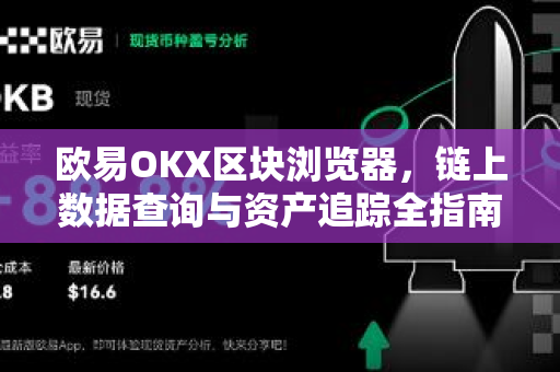 欧易OKX区块浏览器,链上数据查询与资产追踪全指南 欧易OKX区块浏览器,链上数据查询与资产追踪全指南
